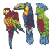 parrot cutouts