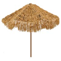 thatch umbrella