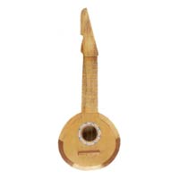 coconut ukelele