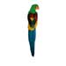 feather parrot