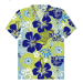 hawaiian shirt